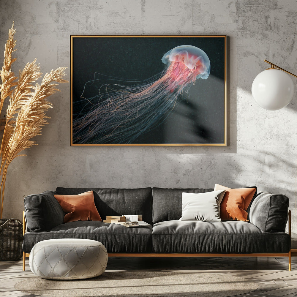 Coda lunga | Poster - Stampe d’Arte