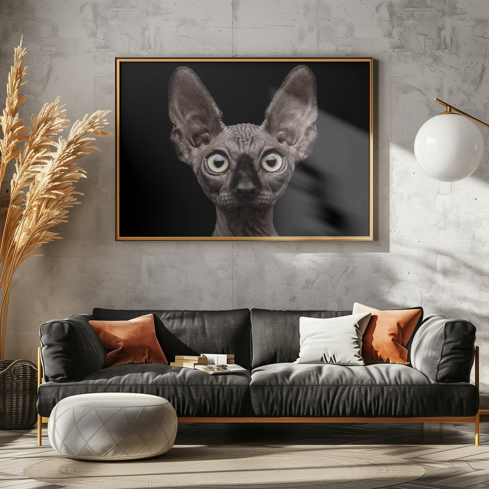 Sphynx-Katze | Poster - Kunstdruck