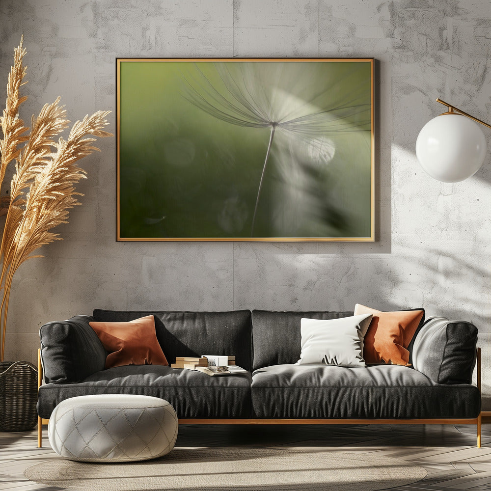Ombres dans le vert | Posters - Affiche Artistique