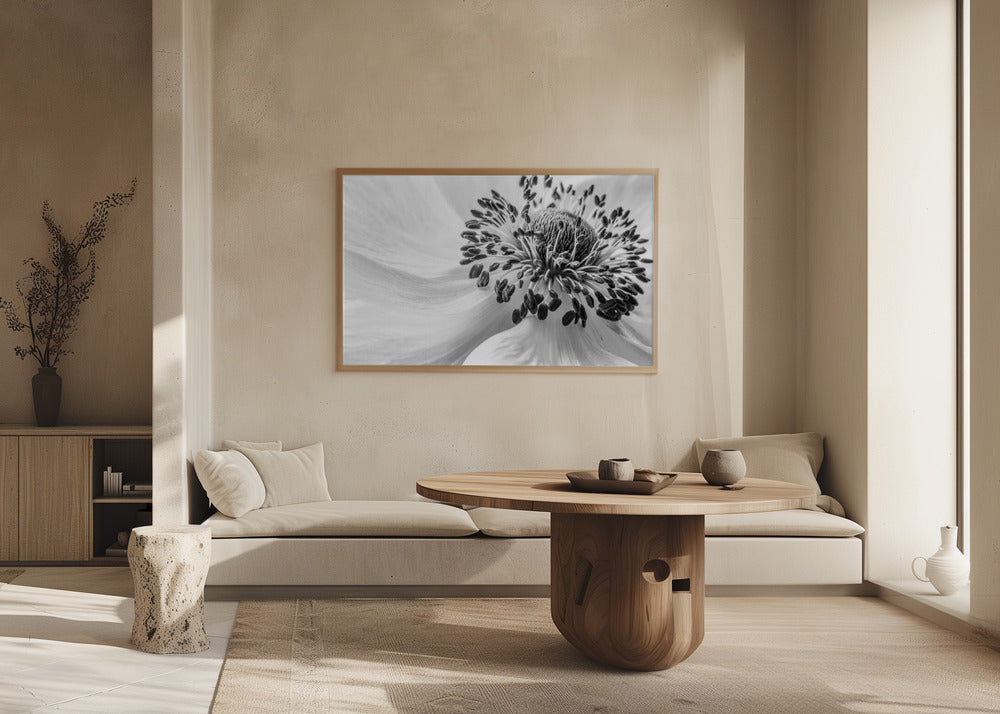 Anemone | Poster