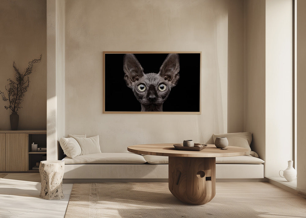 Sphynx-Katze | Poster - Kunstdruck