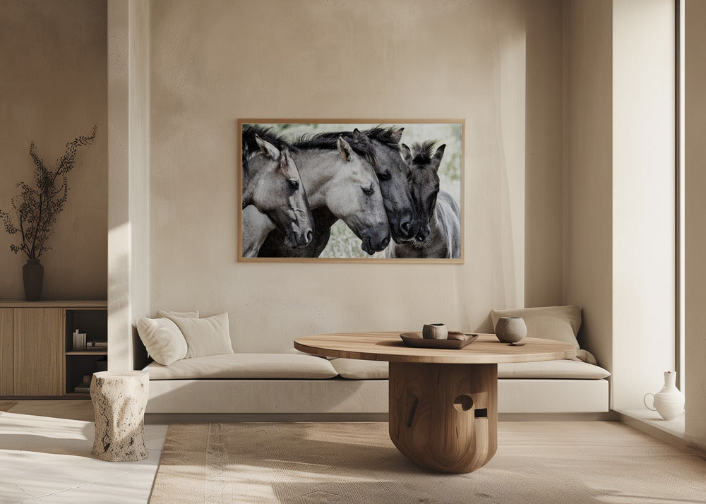 Cuatro caballos Konik | Posters - Impresiones de Arte