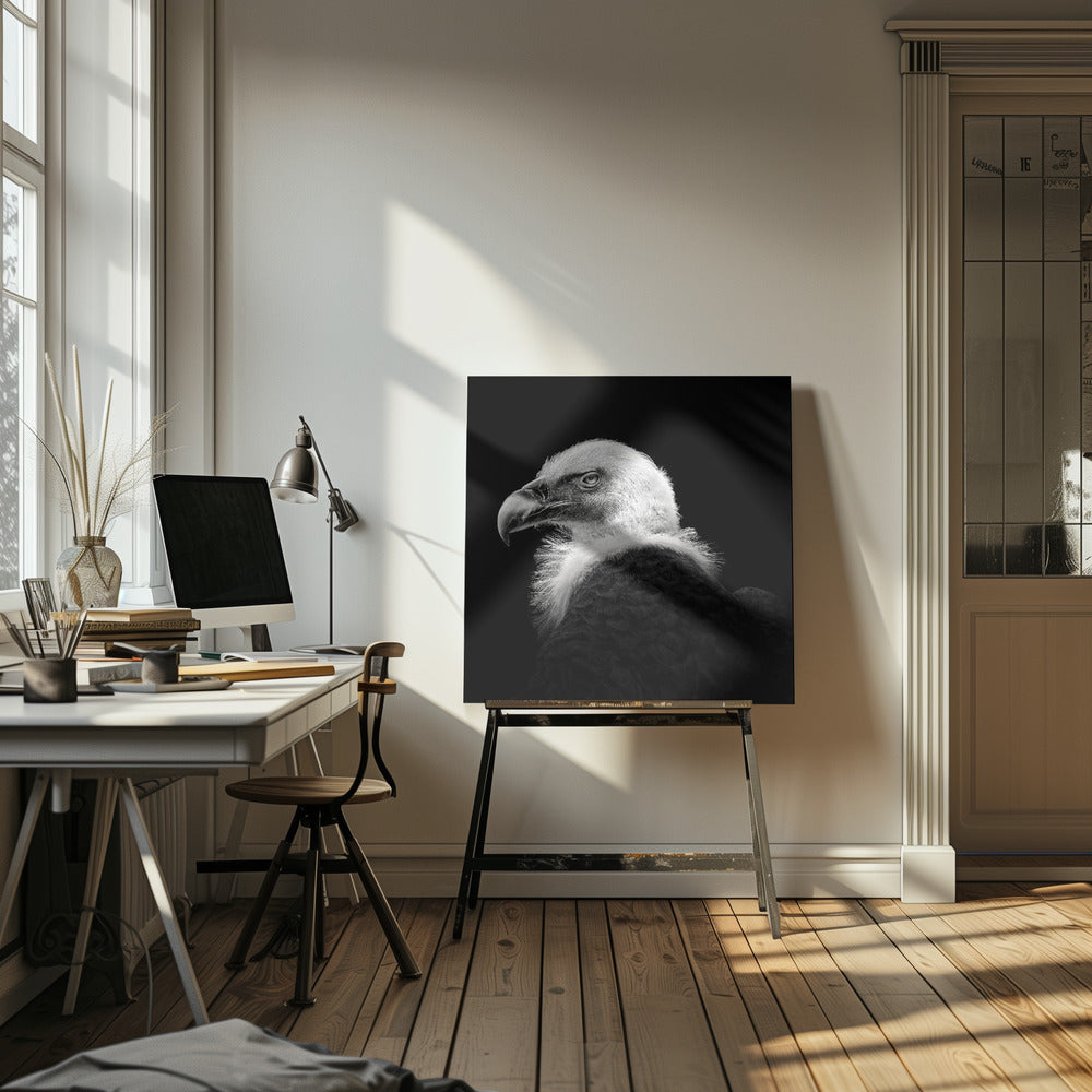 Griffon d'Eurasie #7 | Tableaux sur Toile