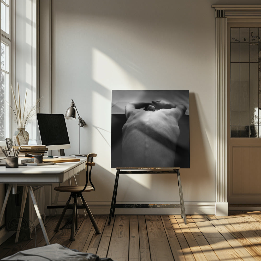 cochlée | Tableaux sur Toile