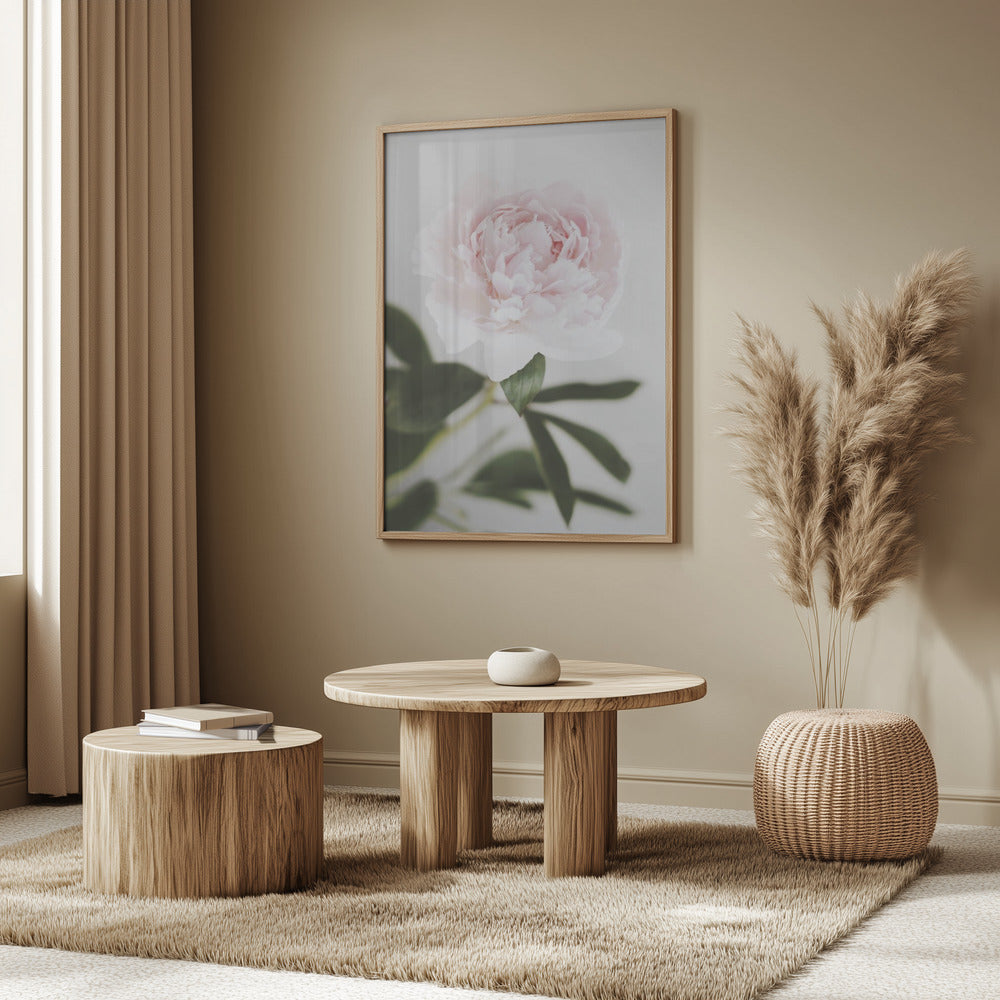 Peony 10 | Poster