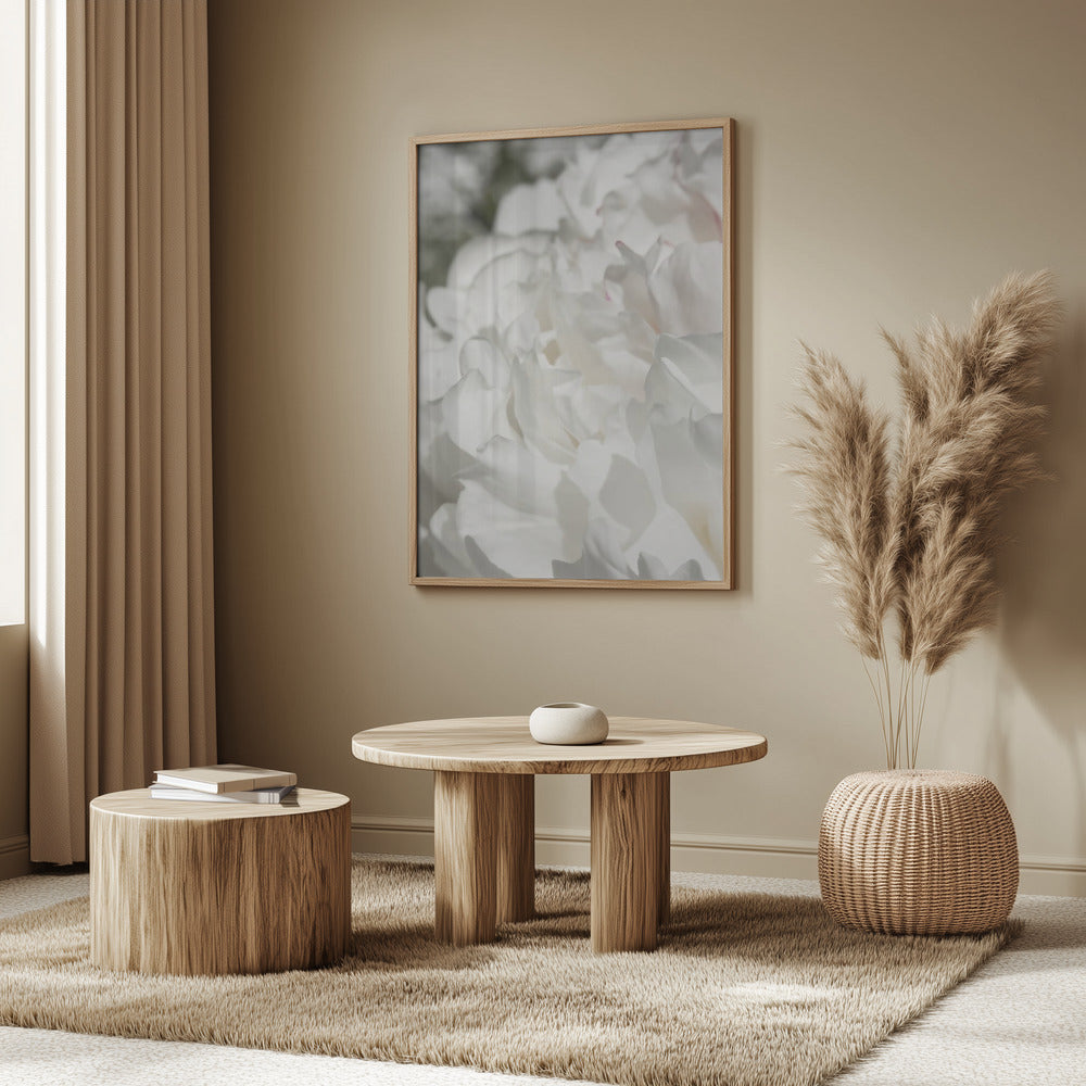 Peony 20 | Poster