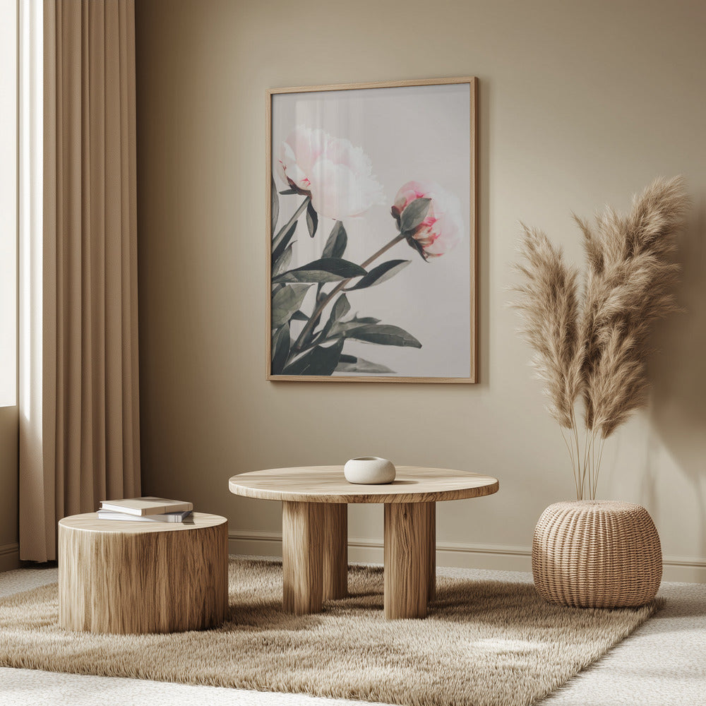 Peony 23 | Poster
