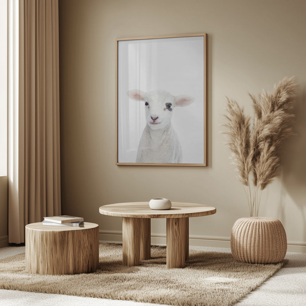 Baby Lamb | Poster