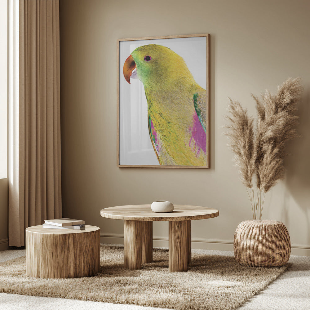 Vibrant Parrot Profile | Poster