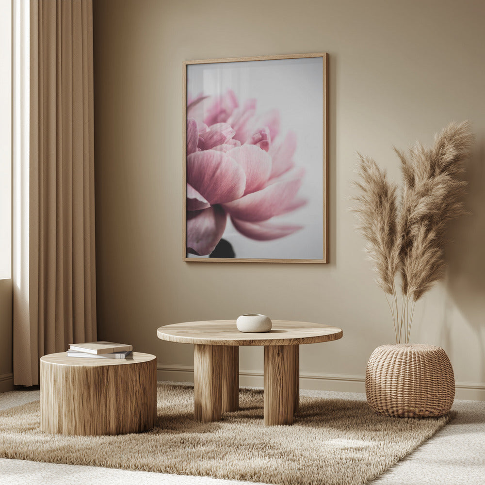 Peony 1 | Poster