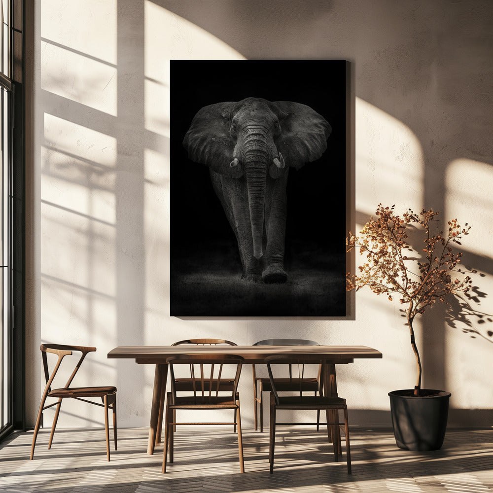 Ngorongoro-Bulle | Leinwand-Bilder