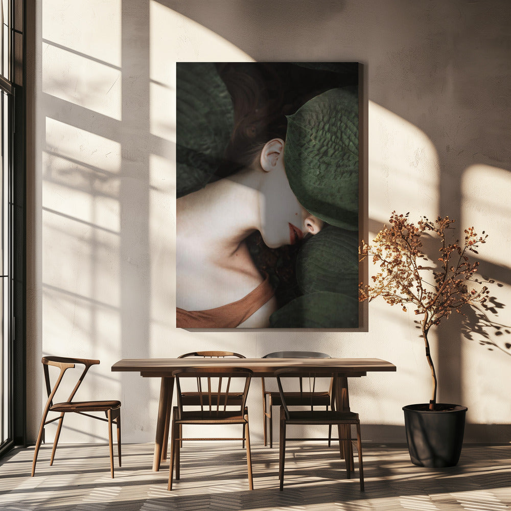 Ola | Canvas