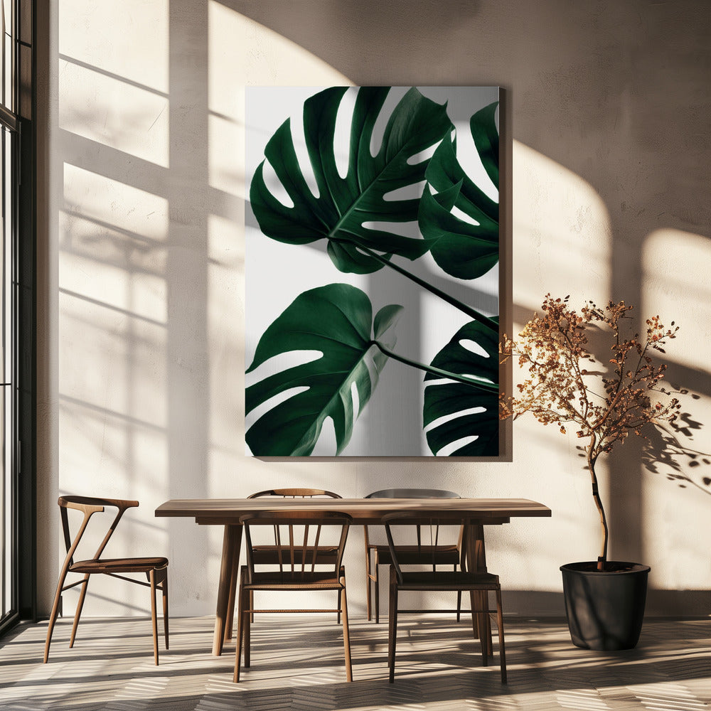 Monstera Naturlig 43 | Lærredsbilleder