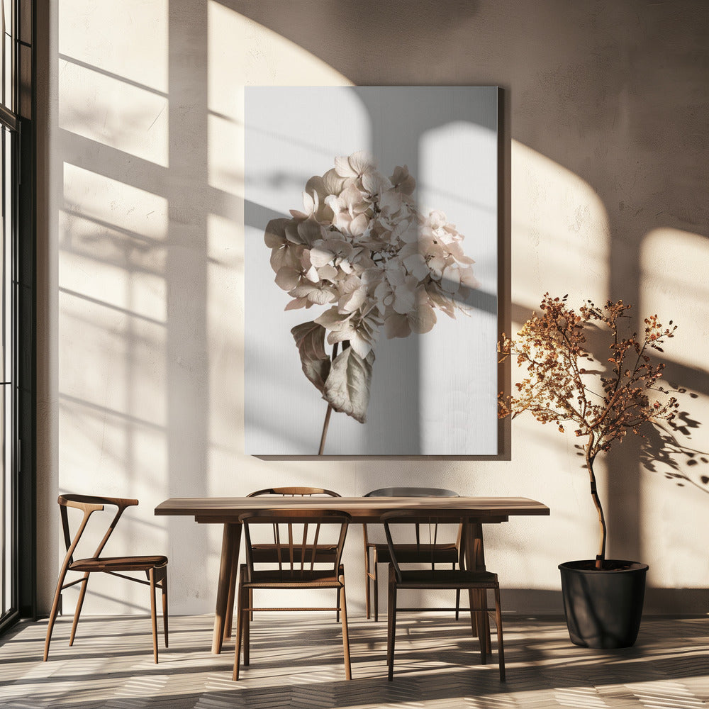 Beige tørrede blomster | Lærredsbilleder