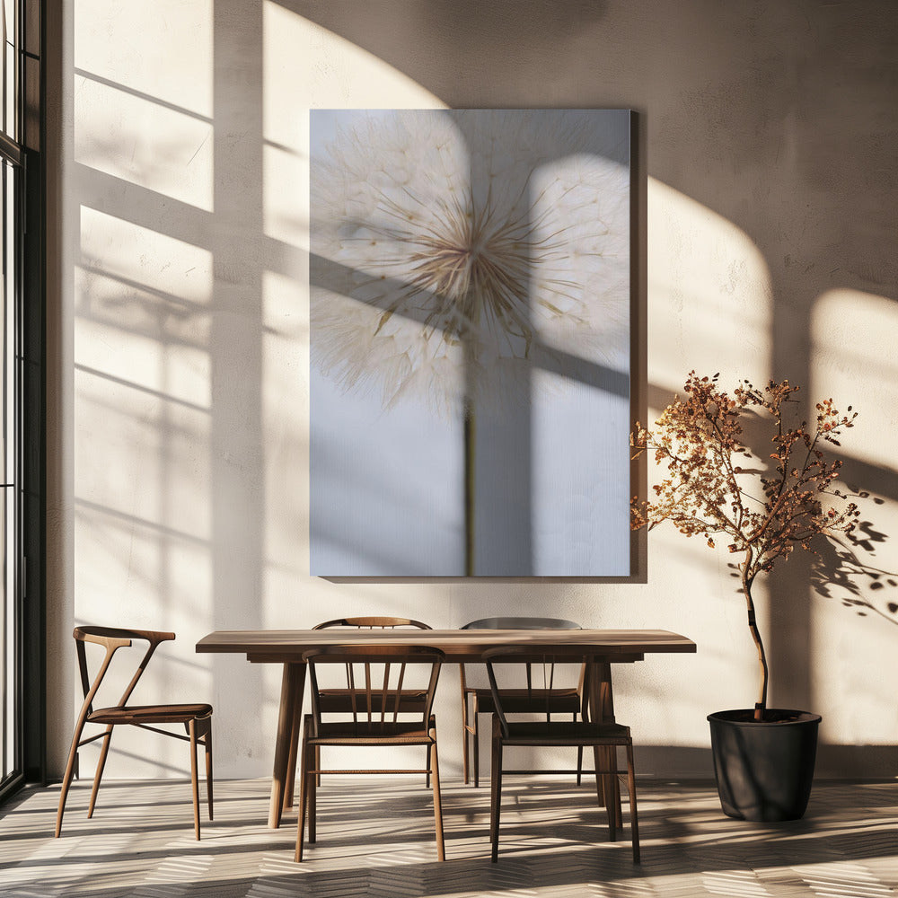 Delikat maskros | Canvas