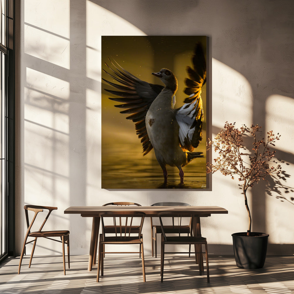Open Heart | Canvas