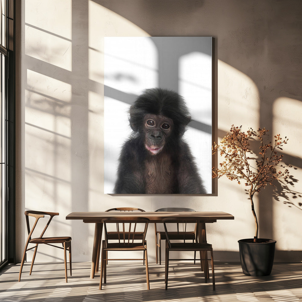Bébé singe | Tableaux sur Toile