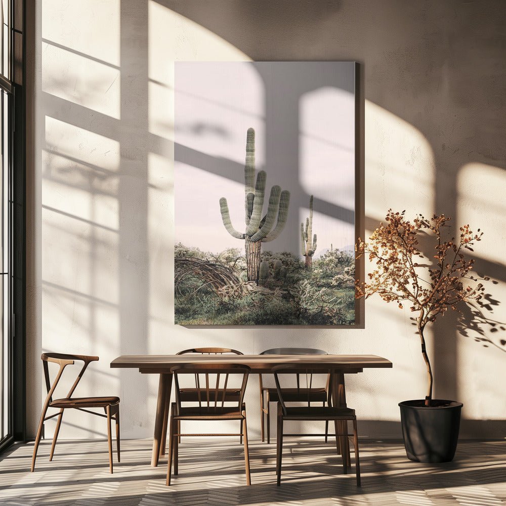 Rosa Saguaro | Canvas