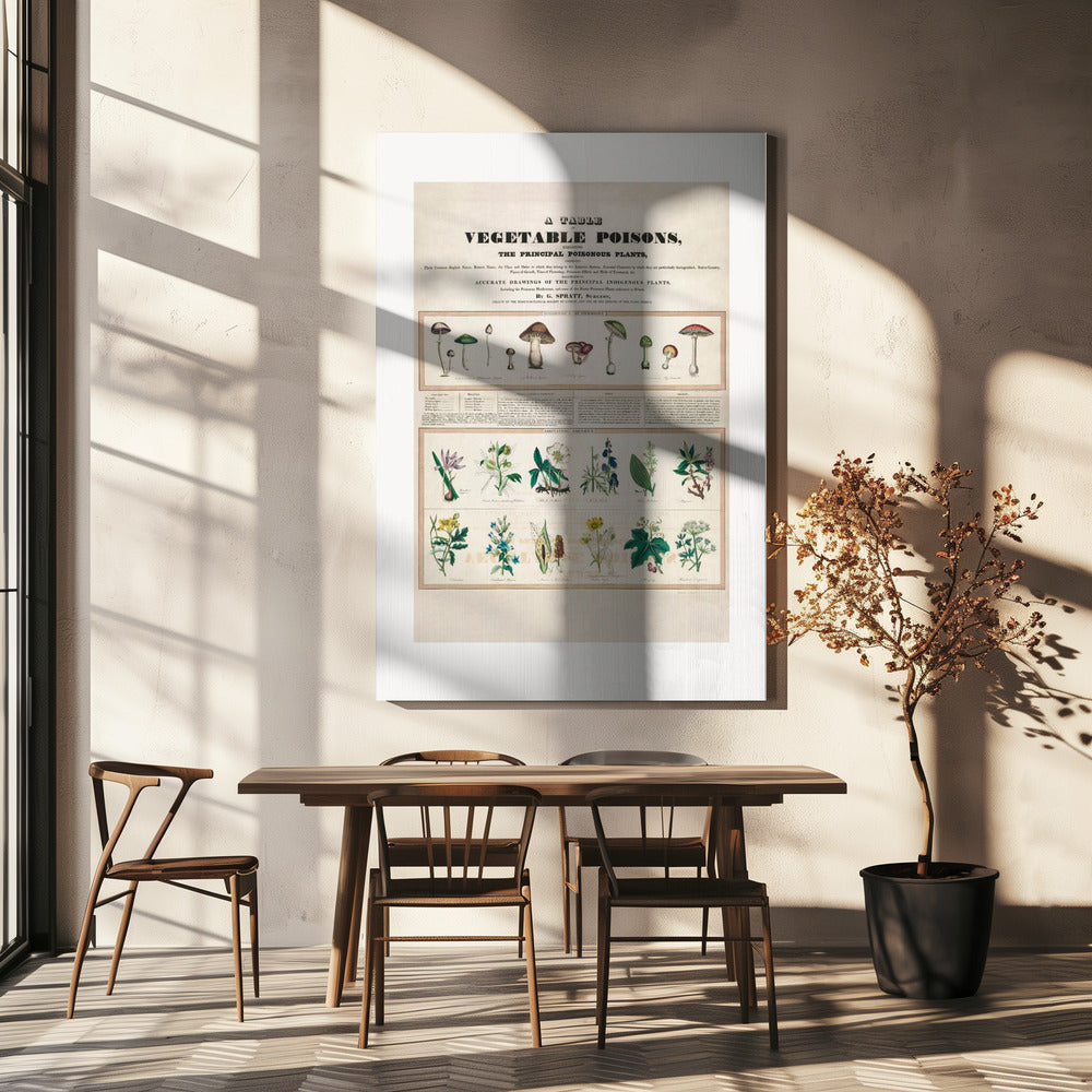 Champignons vénéneux Poisons irritants | Tableaux sur Toile