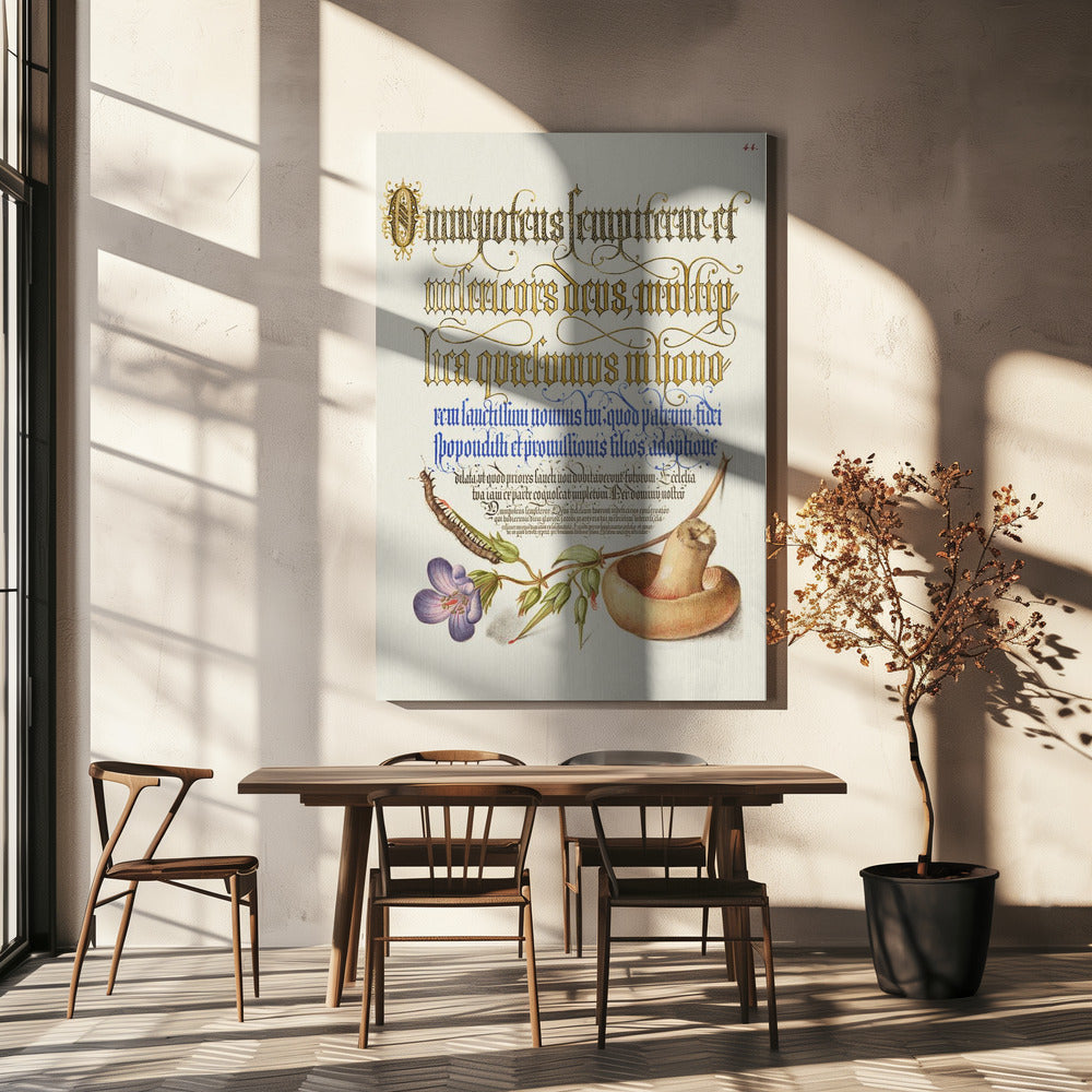 Fungo Poster - Stampe d’Arte | Stampe su Tela