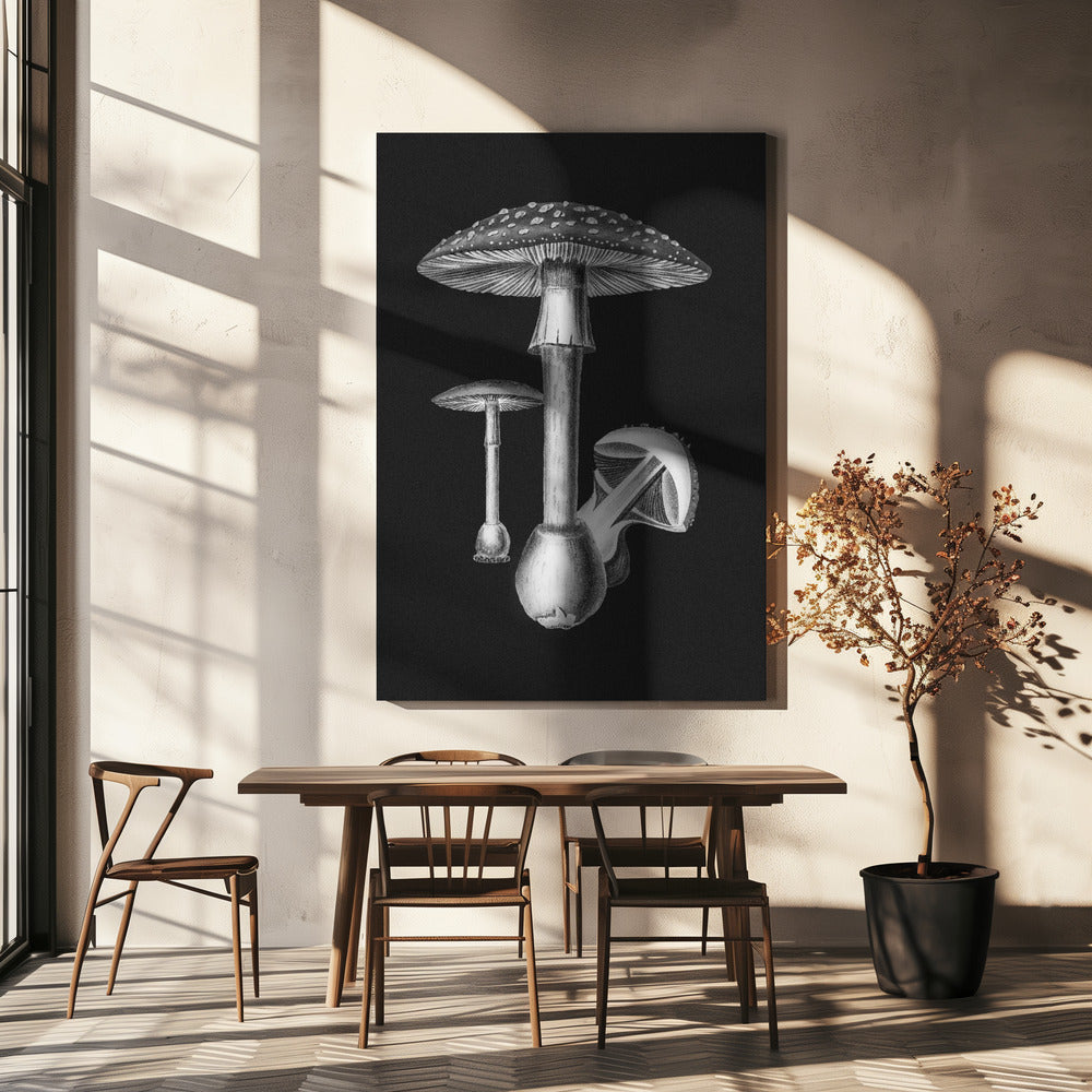 Amanita Muscaria mörk bakgrund svartvit | Canvas