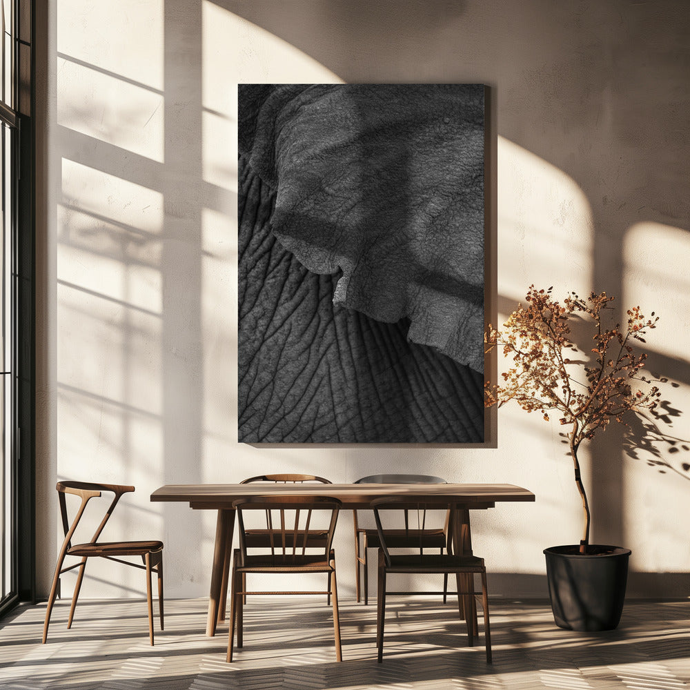 Olifant 02 | Canvasprints
