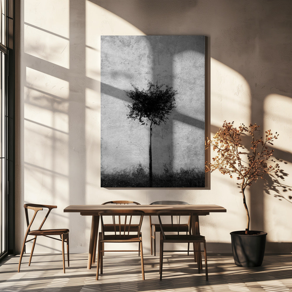 Albero in bianco e nero | Stampe su Tela