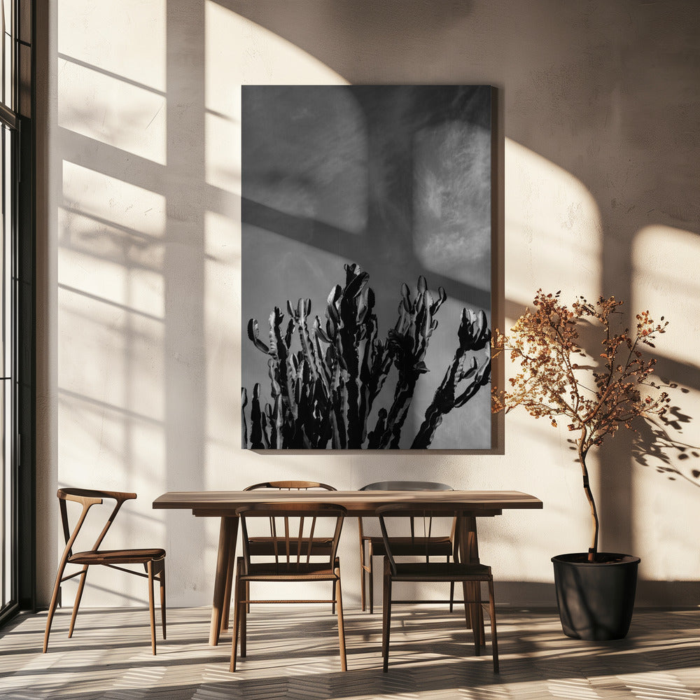 Monochromer Kaktushimmel | Leinwand-Bilder
