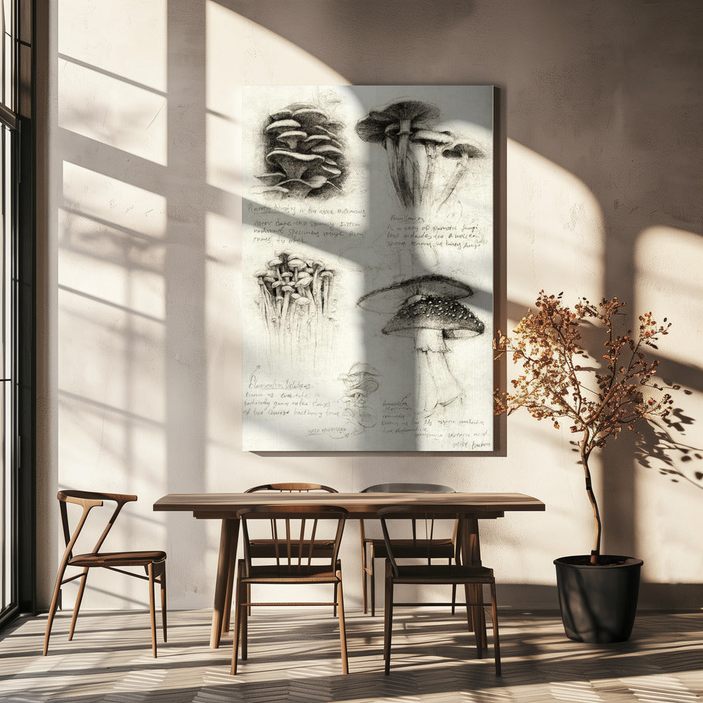 Divers champignons botaniques | Tableaux sur Toile