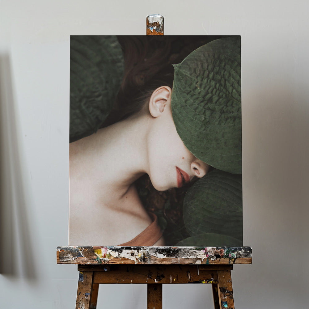 Ola | Canvas