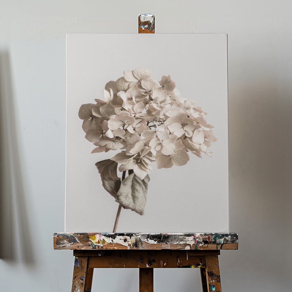 Beige tørrede blomster | Lærredsbilleder
