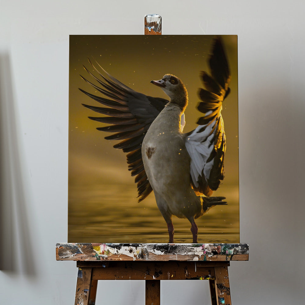 Open Heart | Canvas
