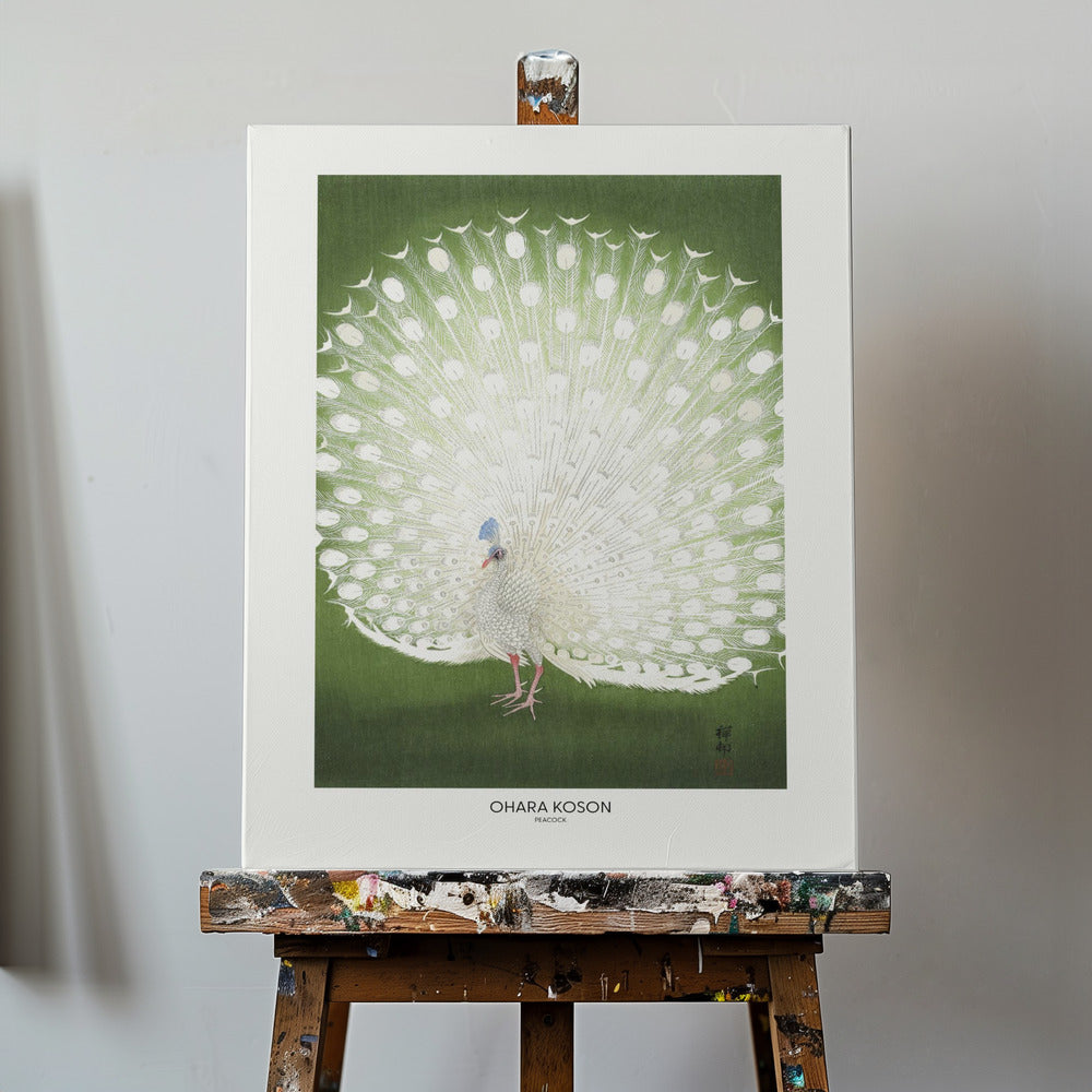 Pfau – Beschnitten | Leinwand-Bilder