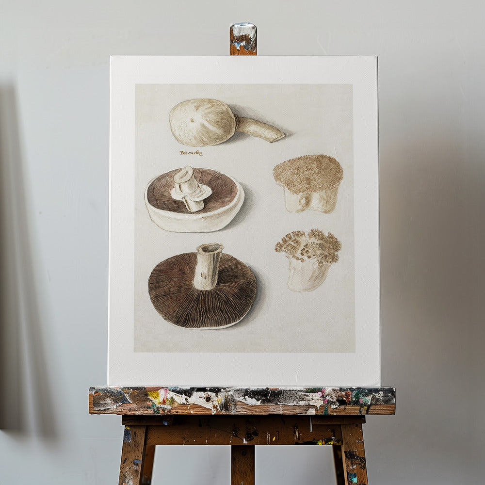 Vanlig ängssvamp, Agaricus Campestris stående | Canvas