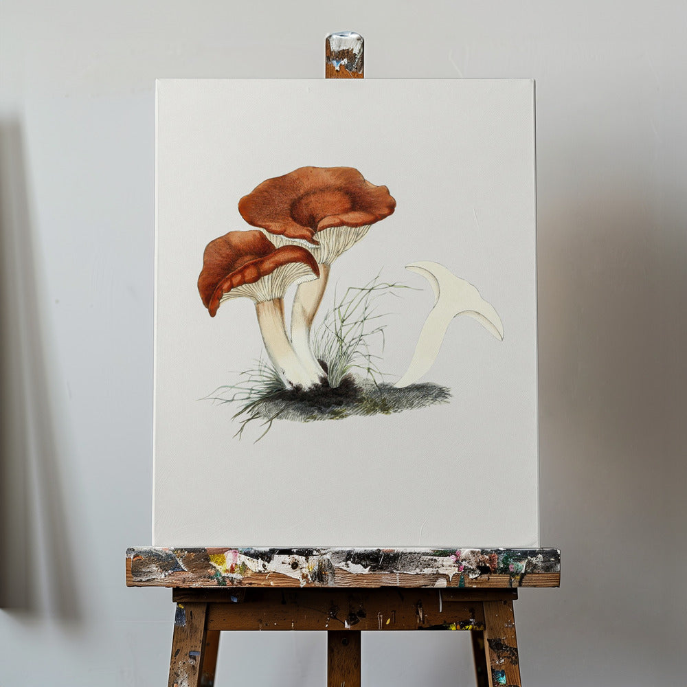 Håndtegnet Rufous Milkcap-svamp | Lærredsbilleder