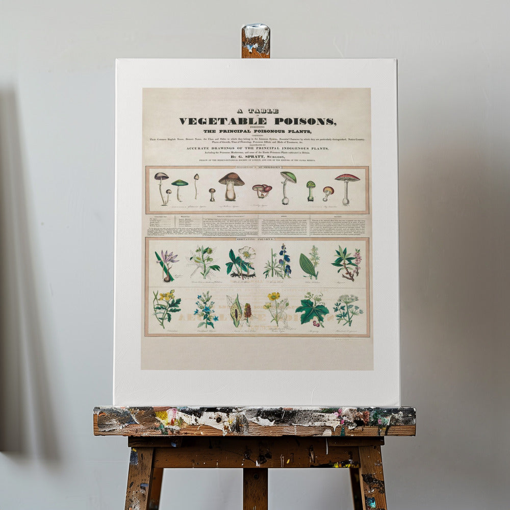 Champignons vénéneux Poisons irritants | Tableaux sur Toile