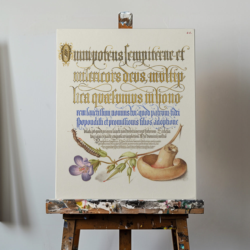 Fungo Poster - Stampe d’Arte | Stampe su Tela