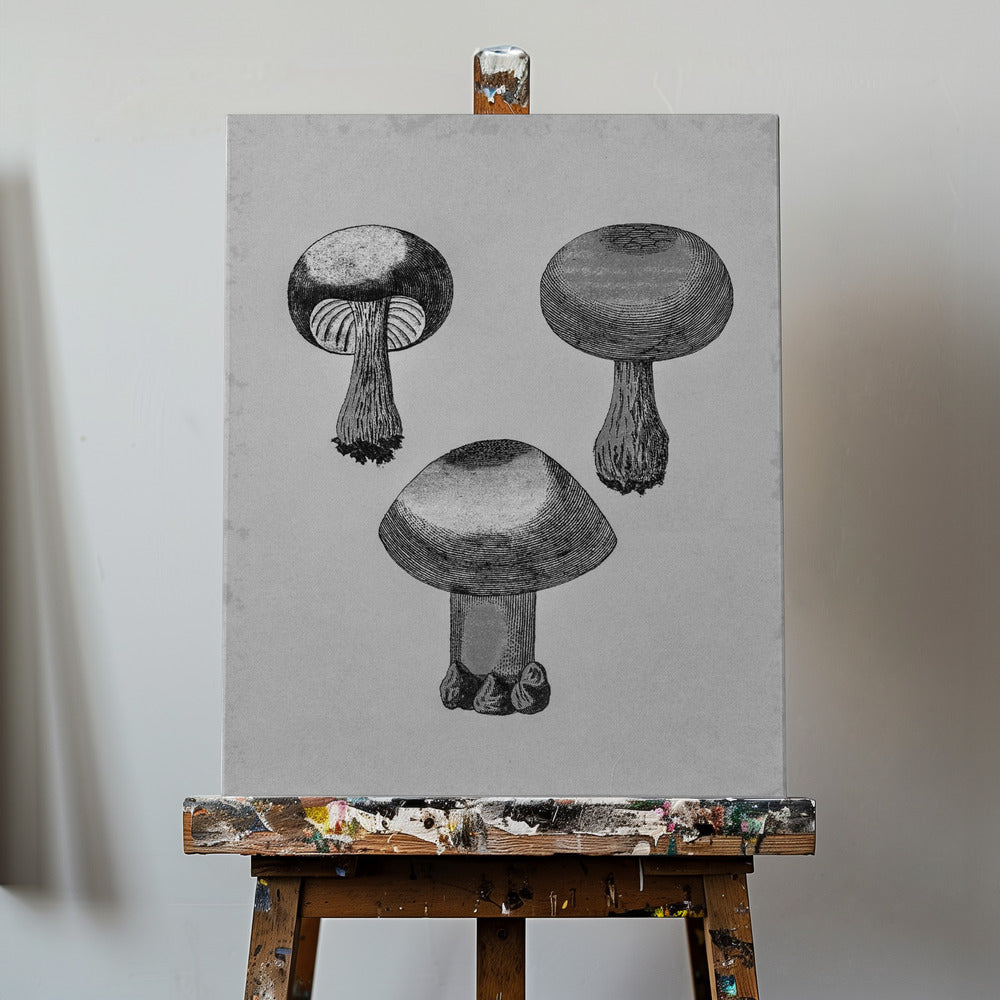 Champignon à toile violette | Tableaux sur Toile