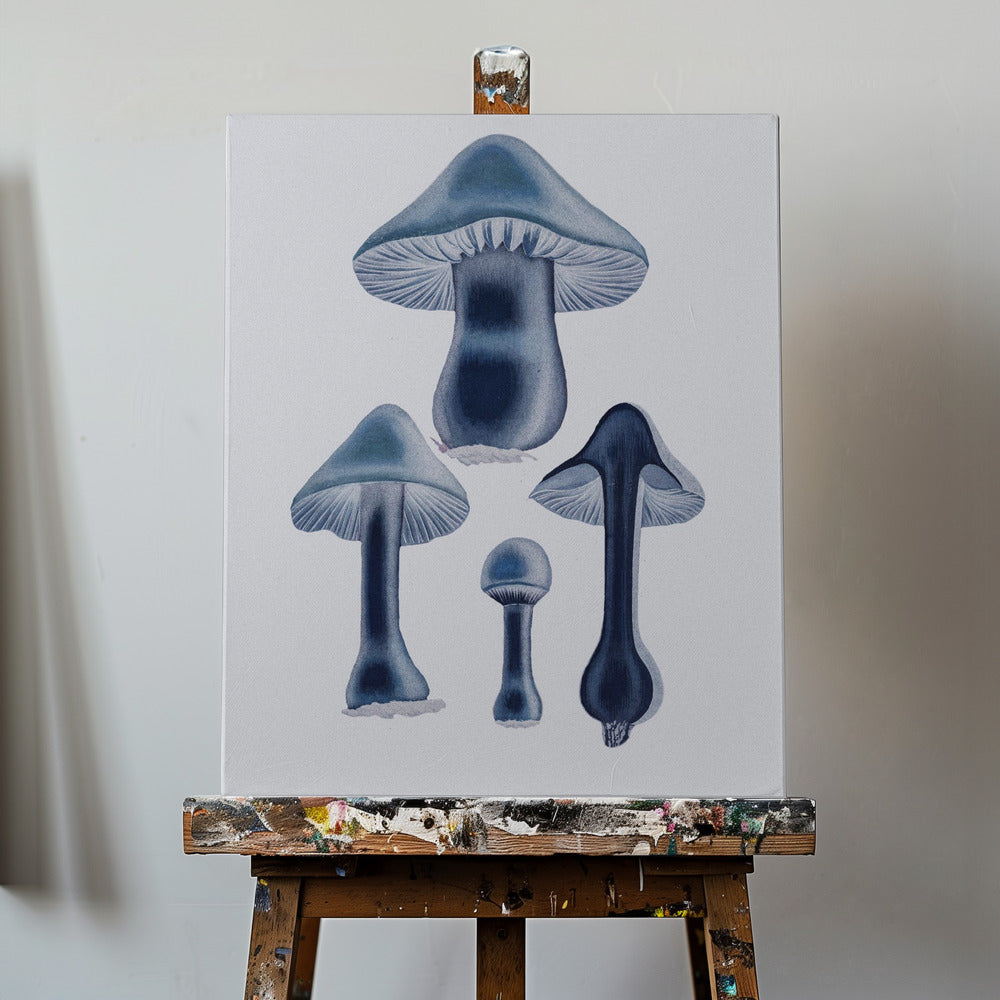 Agaricus Bulbosus - Blu | Stampe su Tela