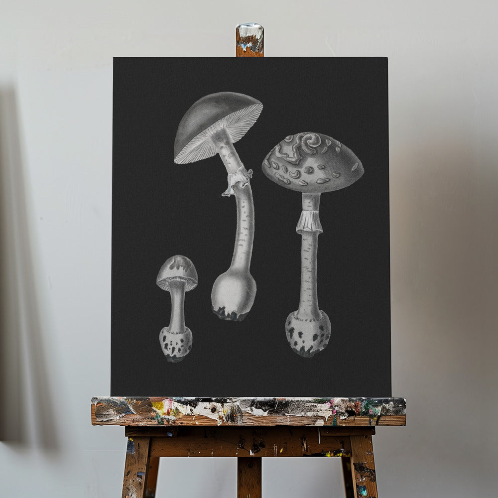 Amanita Muscaria Sfondo Nero BW | Stampe su Tela