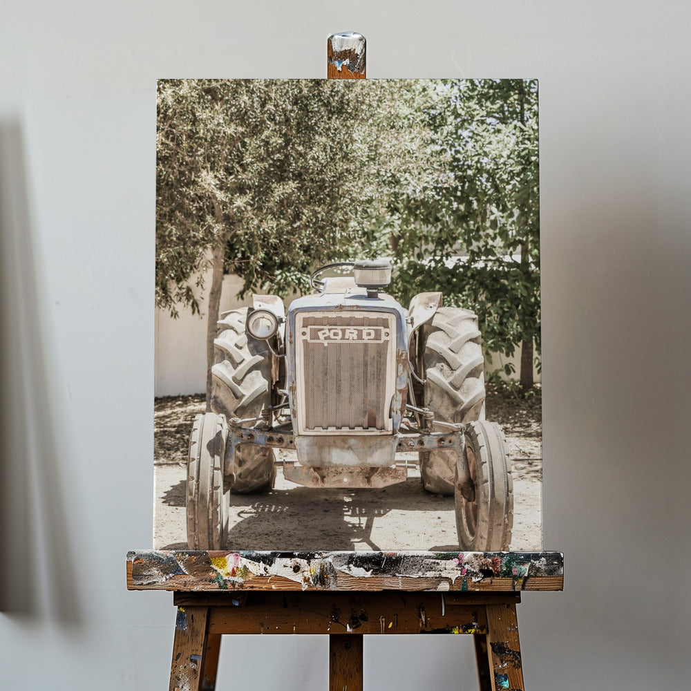 Guado | Stampe su Tela