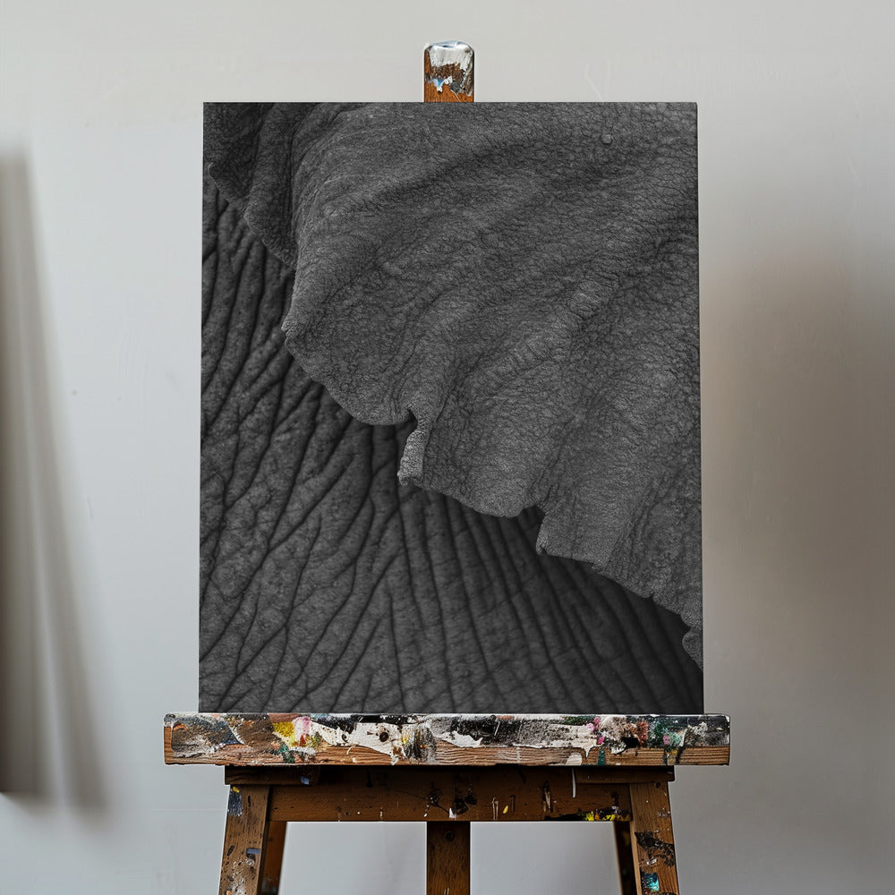 Olifant 02 | Canvasprints