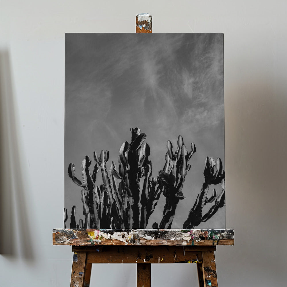 Monochromer Kaktushimmel | Leinwand-Bilder