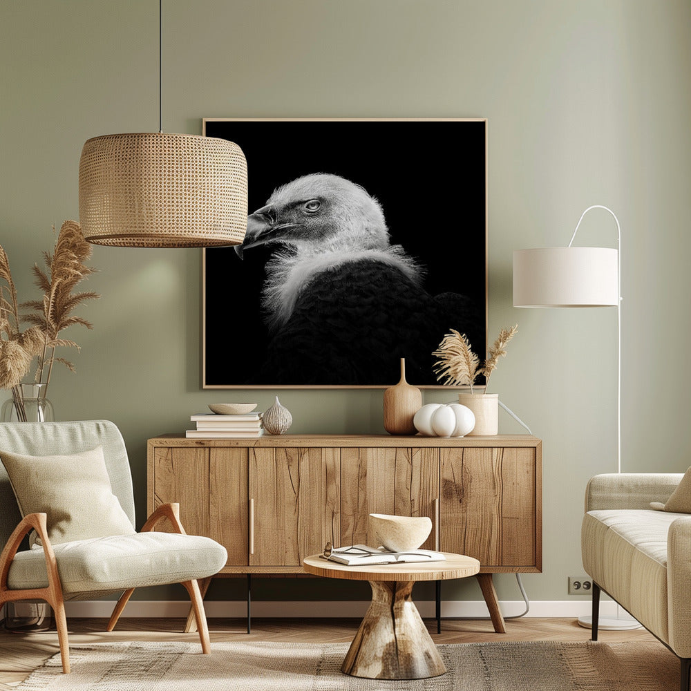 Griffon d'Eurasie #7 | Tableaux sur Toile