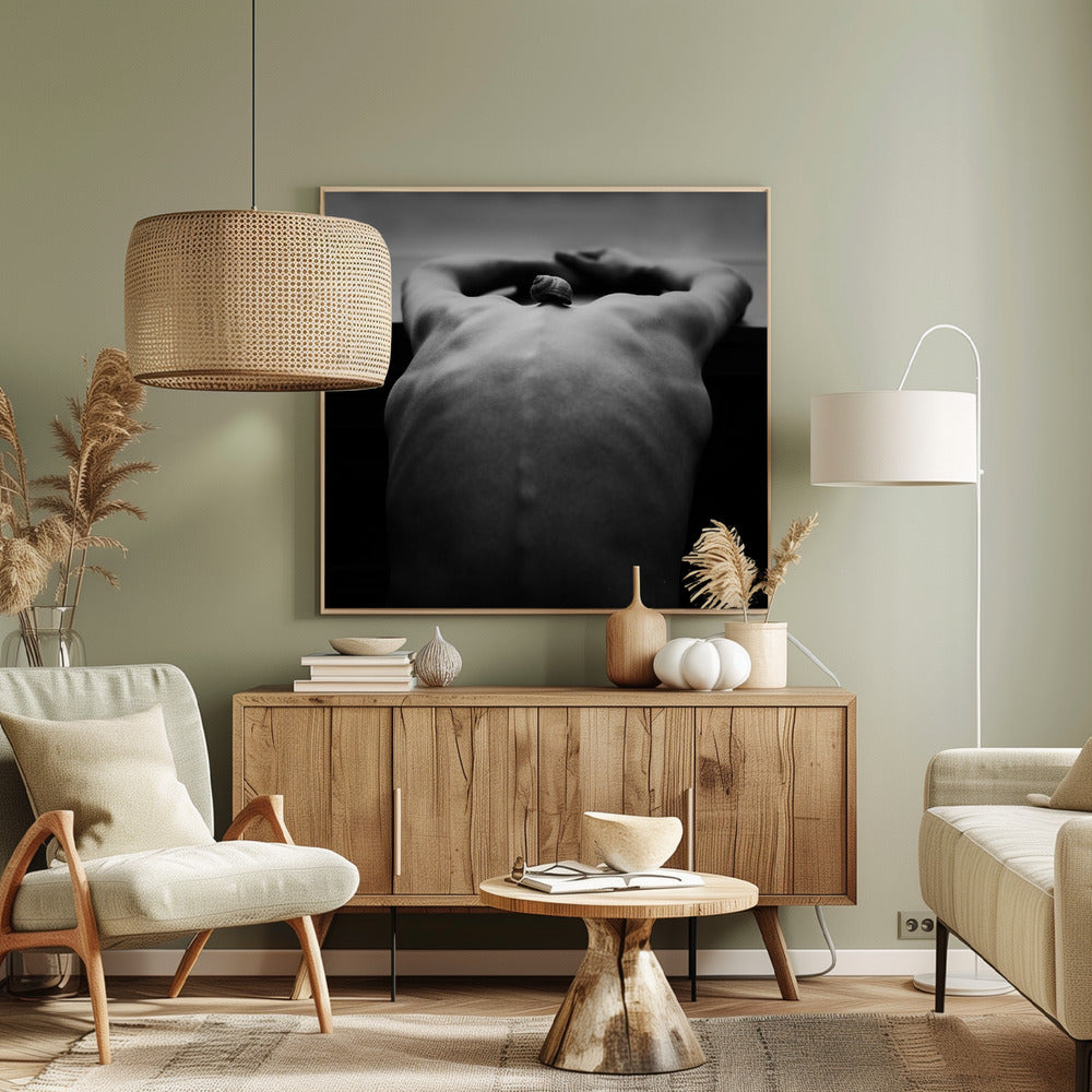 cochlée | Tableaux sur Toile