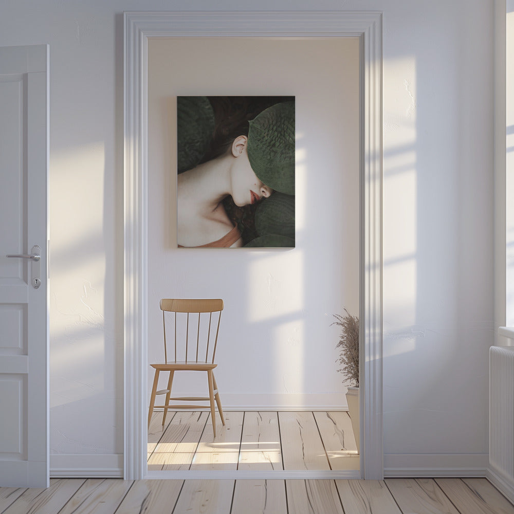 Ola | Canvas