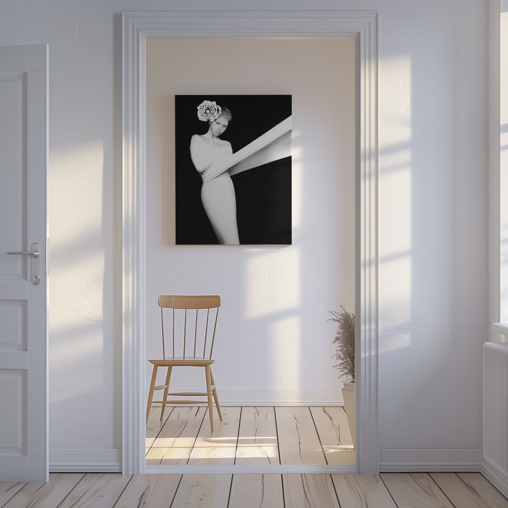 Elegant Gåde | Lærredsbilleder