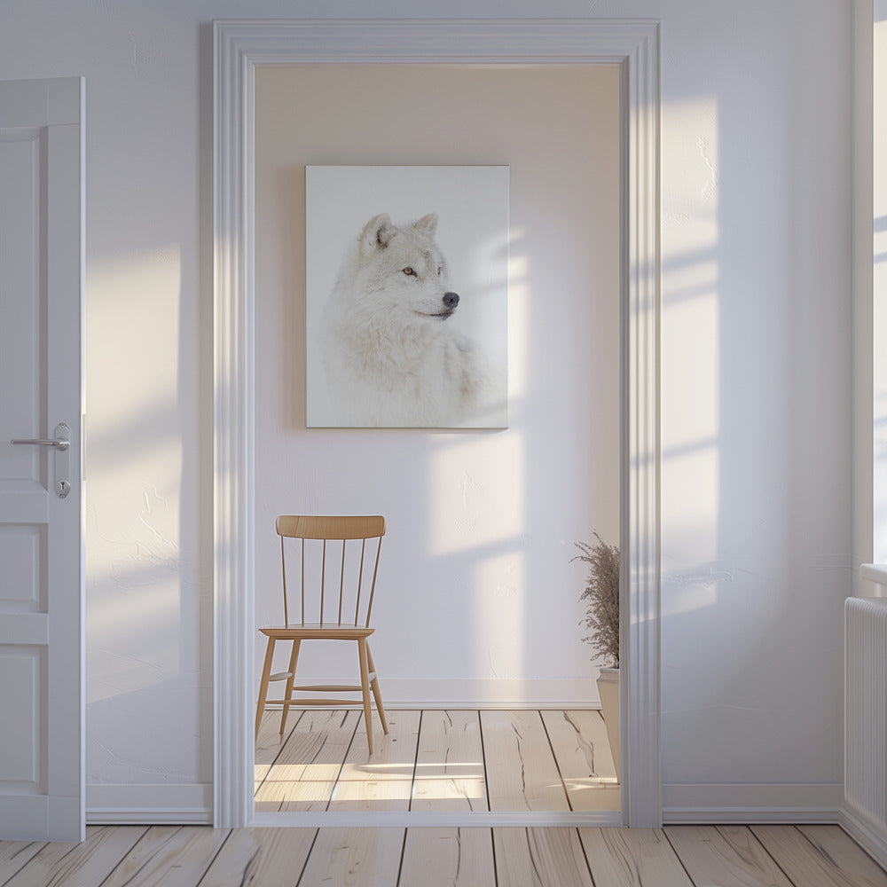 Portrait of an Arctic Wolf | Canvas