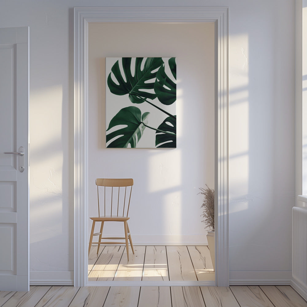 Monstera Naturlig 43 | Lærredsbilleder