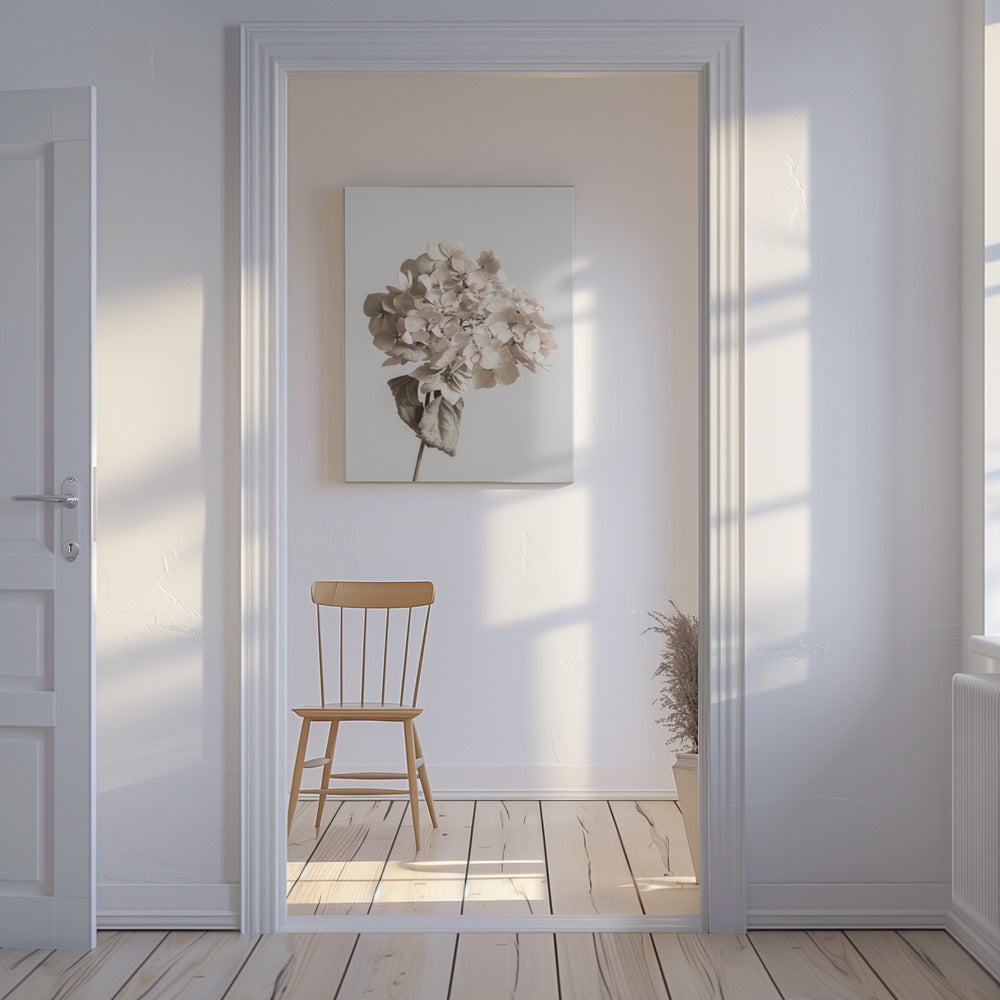 Beige tørrede blomster | Lærredsbilleder